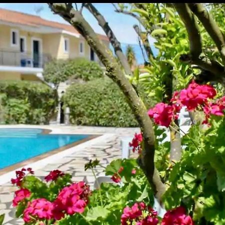 Lemon Tree Apartments B C Argostoli  Buitenkant foto